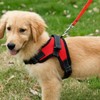 Dog Harness Mesh Breathable Comfortable Pet Vest No Pull Adjustable