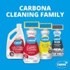 Carbona Pro Care 2-in-1 Oxy Powered Outdoor Cleaner with Active