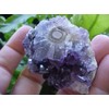 F4307 Amethyst Stalactite LOG Polished Face Beauty