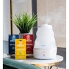 Crane Halls Scented Vapor Pads for Humidifier and Steam Inhaler,