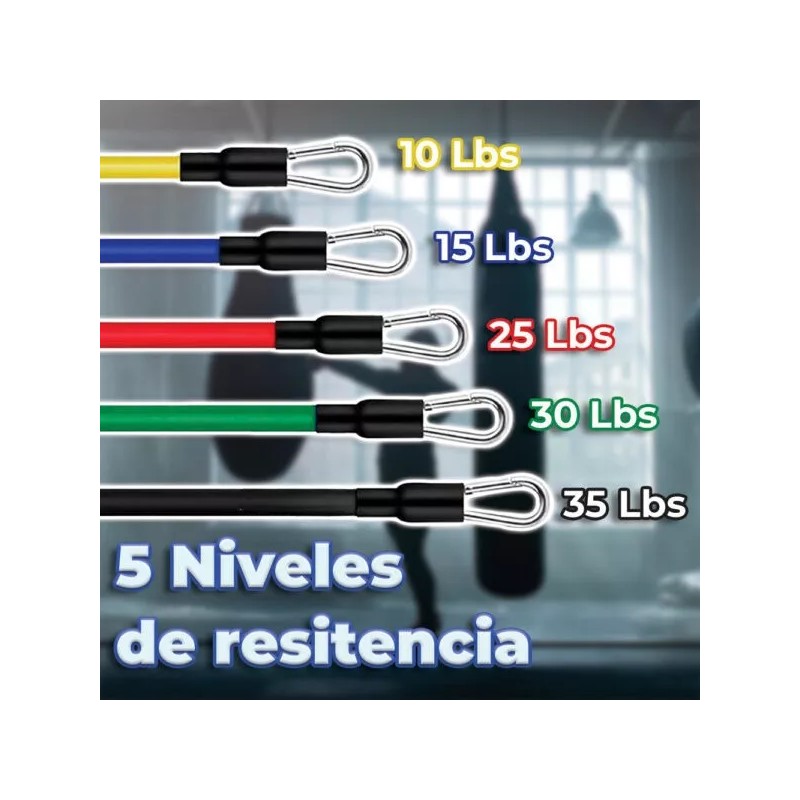 EGTMA Juego De Bandas De Resistencia Para Ejercicio