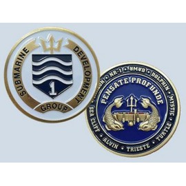 NAVY SUBMARINE DEVELOPMENT GOUP ONE SUBDEVGRU SUBMERGENCE DOLPHIN CHALLENGE COIN
