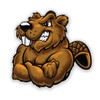 GT Graphics Express Beaver - 12" Vinyl Sticker Waterproof Decal