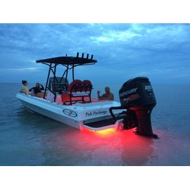 BOATPLUGLIGHT.COM RED RTY LED ICE FISHING Shack light underwater sonar led lights 100% waterproof