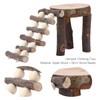 Small Animals Climb Platform, Hamster Activity Living Playground Hamster Platform