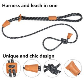 SEOINS Dog Leashes for Medium Dogs - Dog Harness Puppy Step-in Leash Heavy Duty 5 ft Adjustable Nylon Dog Collar & Leash in One with Reflective Stripe for Small Medium & Large Dogs (Black)