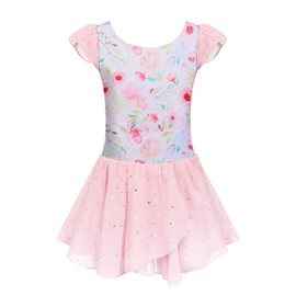 Arshiner Girls Ruffle Sleeve Ballet Dance Dress Tutu Skirted Leotard Pink Floral
