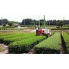 Ureshino Tea Premium Premium Set of 2 (3.5 oz (100