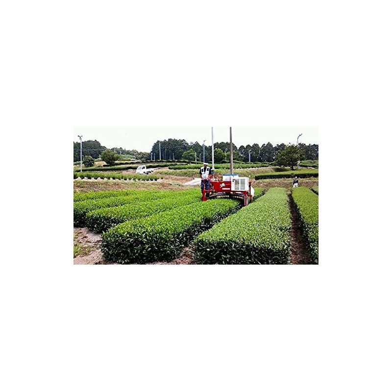 Ureshino Tea Premium Premium Set of 2 (3.5 oz (100