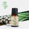 mocnhien Lemongrass Essential Oil Aroma Oil Essential Oil 100% Natural