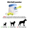 Pet Prime Automatic Dog Ball Thrower Launcher for Small and