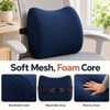 Lumbar Support Cushion for Office Chair & Car Seat –