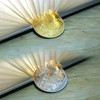 Plump, chubby rabbit gold, silver, and treasure commemorative coin / 토실토실 육덕토끼 금은보화 기념주화