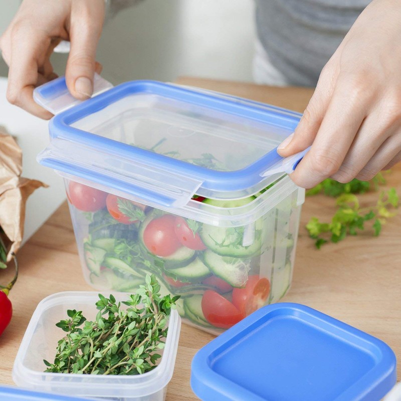 Emsa 508543 Clip & Close Rectangular Food Storage Container with