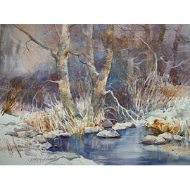 Dawna Barton "Cottonwoods"  Hand Signed Litho Framed Landscape Nature Art NEW