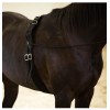 Lunging Surcingle for Horses | Nylon Roller for Training -