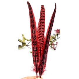 20pcs 10-12 inches Red Colored Natural Pheasant Tail Feathers for Crafts Pheasant Tails DIY Hats Wedding Party Decorations