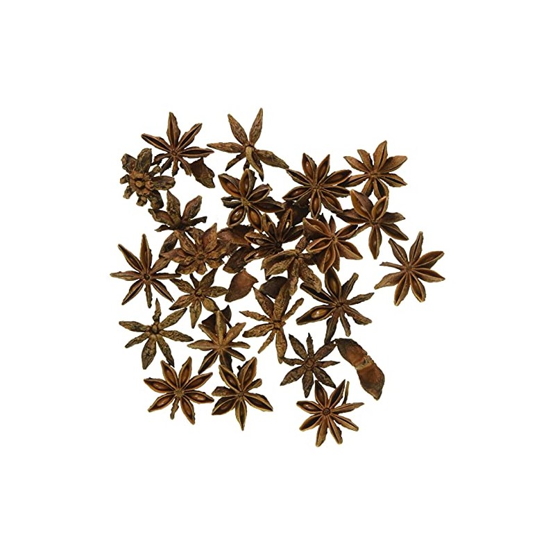 Daichiyouen DO021020-000 Dried Flower Star Anise Natural (1.2 oz (35