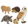 Piggy Bank Pet Bank Indian Star Tortoise 1168 