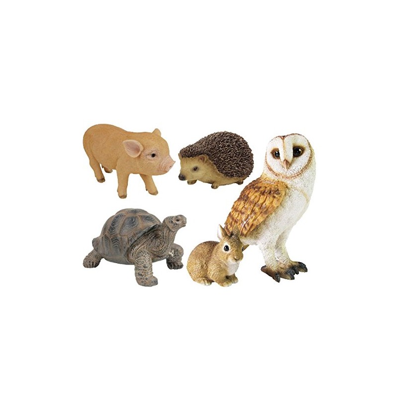 Piggy Bank Pet Bank Indian Star Tortoise 1168 
