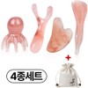 Prenty Gua Sha Massager Scalp Face Body Gua Sha Massage Tool Set, 4 Pieces, Mixed Colors / 프렌티 괄사 마사지기 두피 얼굴 바디 괄사 마사지 도구 세트, 4개, 혼합색상
