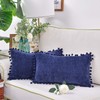 CaliTime Pillow Cases Pack of 2 Cozy Solid Dyed Soft
