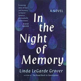 In the Night of Memory: A Novel