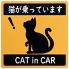 CAT in CAR Car Car Sticker Car Magnet Sheet Sticker