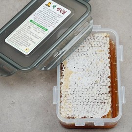 (지투지샵)팩 벌집꿀 500g Honeycomb Honey (500g)