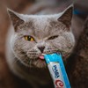 Inaba Churu Premios para Gato Sabor Atún, Puré Cremoso, Delicioso