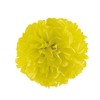 [合鹿 Paper 6185541] (care products) Flowerly that need Five Colors