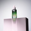 Evercell Moisture Glow Makeup Set (Perfect Cushion Main Set +