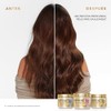 Pantene Cronograma Capilar