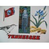 Fabric Tote bag panel - TENNESSEE, 18" x 36"
