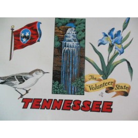 Fabric Tote bag panel - TENNESSEE, 18" x 36"