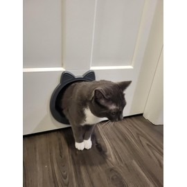 CAREMYWORLD Large Cat Door Interior Door, No-Flap Cat Door for Interior Door, Pet Door for Cats, Easy DIY Setup, No Training, Up to 22 LBS, Easy to Install(Smoky Gray)