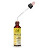 Bach Rescue Remedy Pet