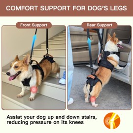 Dog Lift Harness, Detachable Dog Lift Sling for Senior, Injured Dogs, Mutifunctional Full Body Dog Harness Vest for Medium Dogs Hind Leg Support, Prevent Chafing, Large (Black)
