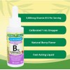 Spring Valley Liquid Vitamin B12, 5000mcg, Metabolism Supplement, Berry, 2