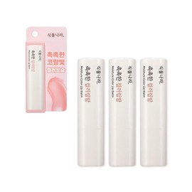 Plantnara Coral Lip Balm Moisturizing Colorful Lip Balm 3.5g 3pcs / 식물나라 코랄 립밤 보습 발색 컬러 립밤 3.5g 3개