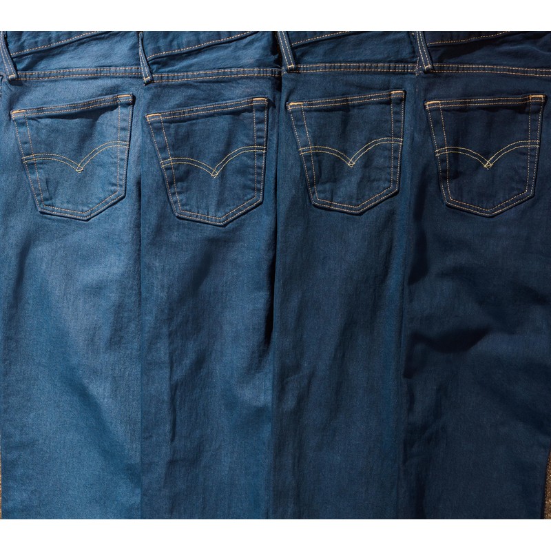 Rit Renew to Blue Dye Kit