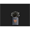 MUHA' Air Freshener Art Pink with Embroidery 100 ml Cedar
