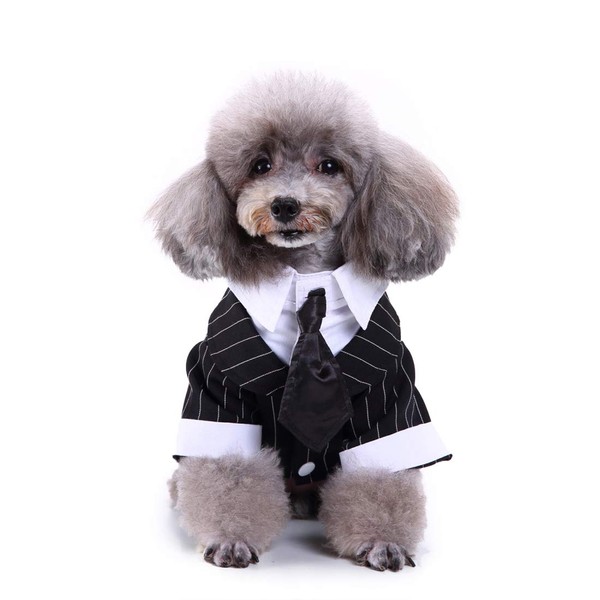 GabeFish Pets Wedding Jackets Suit for Dogs with Bow Tie