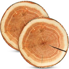 Queekay 2 Pcs Round Throw Pillow Decorative Wood Slice Floor Cushion 3D Digital Printing Forest Decor Soft Circle Pillow Cute Stump Camping Pillow Memory Foam for Home Chair Bedroom Decor (Emulation)