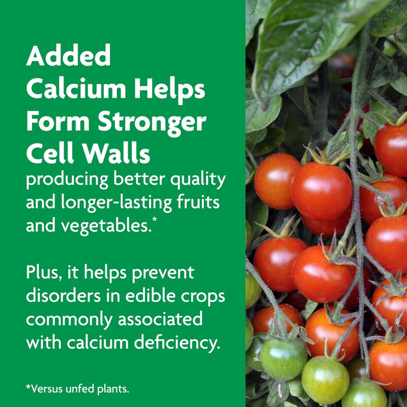 Miracle-Gro Shake 'N Feed Tomato, Fruit and Vegetable Plant Food,