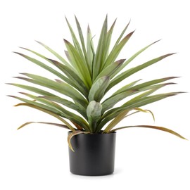 20” Tall Artificial Agave Corn Plant in Pot Lifelike Faux Bonsai for Home Decor (Green, Indoor)
