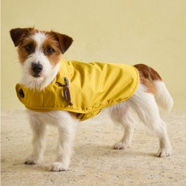 Rosewood x Joules Antique Gold Raincoat for Dogs, Small, Washable, Lightweight, Water-Resistant Dog Coat for Small Dogs