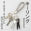 HappyHome Screwdriver Keychains, Phillips and Negative 2-Pack Portable Keychain with