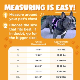 Bark Appeal Purple Plaid No-Pull Dog Harness for Medium to Large Sized Pets – Adjustable, Reflective Vest with 3 Leash Clips for Added Control, Easy Walks & Training – Large