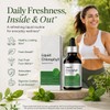 Liquid Chlorophyll Drops, Peppermint Flavor Chlorophyll Liquid Supplement with Chlorophyllin,